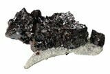 Sphalerite Crystal Cluster on Dolomite - Elmwood Mine #153325-4